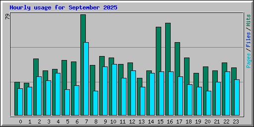 Hourly usage for September 2025