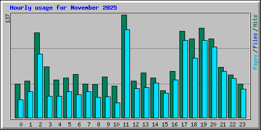 Hourly usage for November 2025