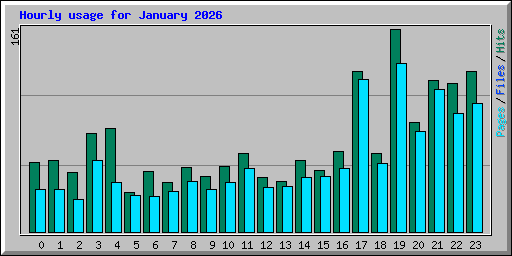 Hourly usage for January 2026